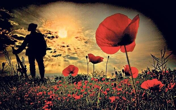 Remembrance day ❤️
