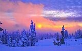 Winter feelings