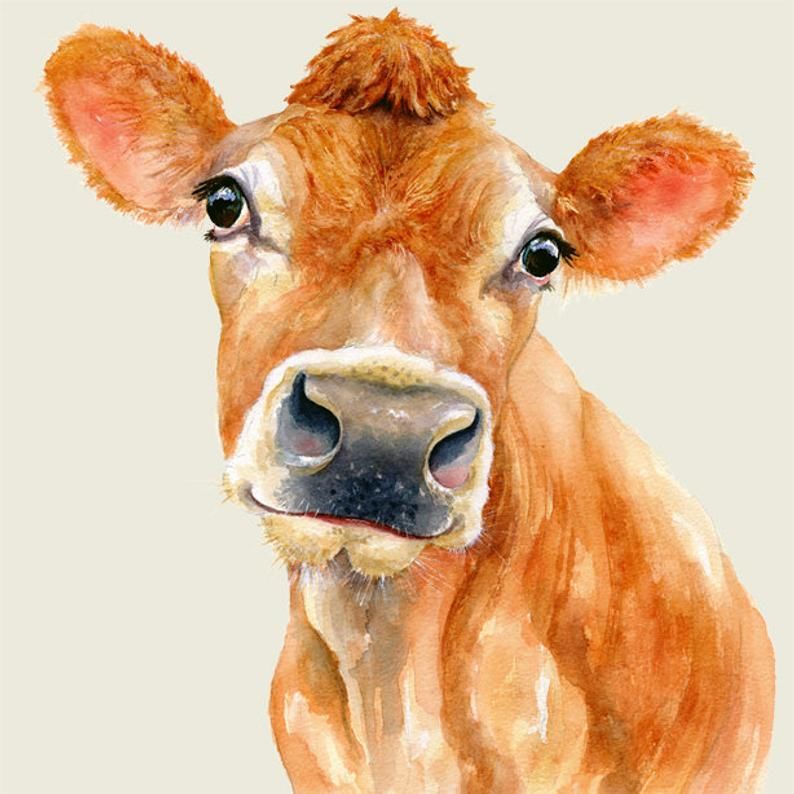 SLAUGHTERHOUSES + SUNDAY DINNERS