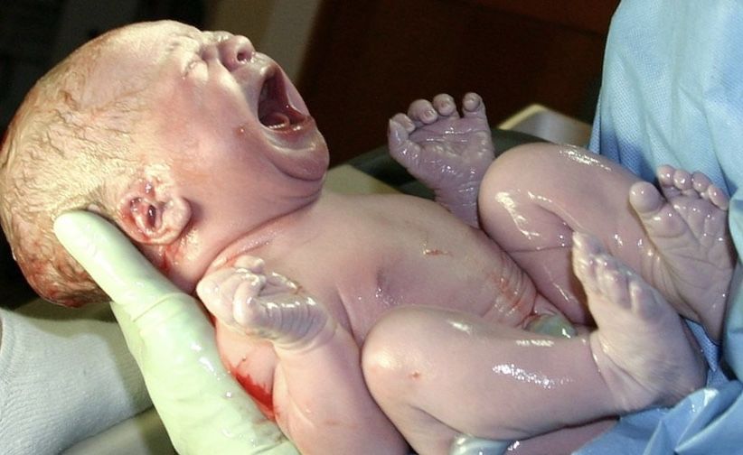 Life Began