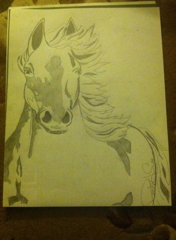 Horsing Around