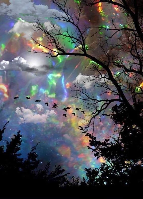 This Dream...