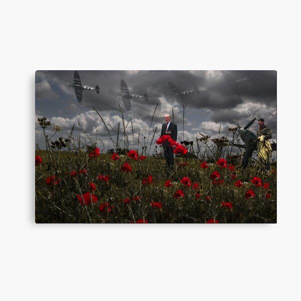 The Blood of Flowers by Anita Amirrezvani The Blood of Flowers by Anita Amirrezvani