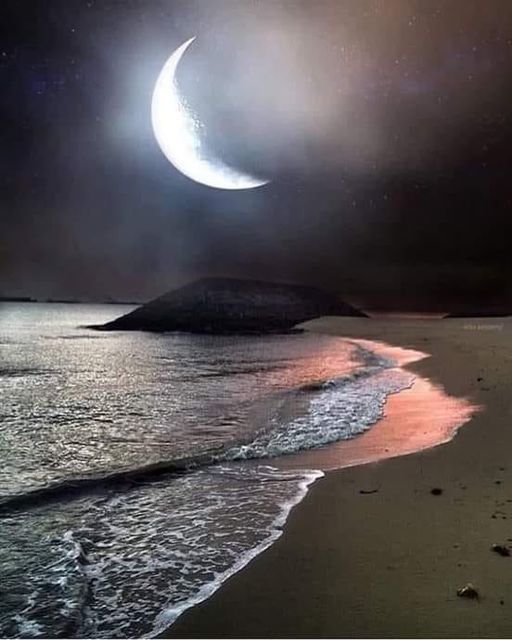 Under The Moonlight