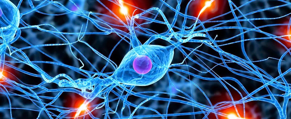 Synapse