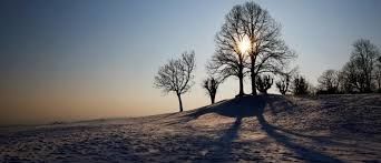 Poetic Vows II