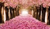 Poetic Vows IIII