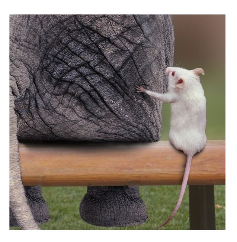 Namaste