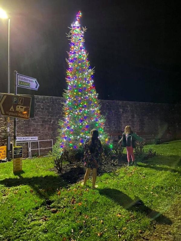 Oh lovely, local Christmas tree 🎄