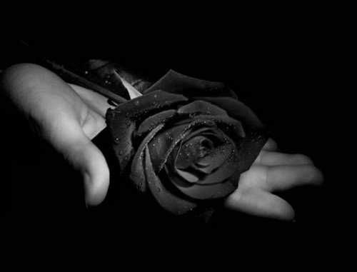 Visit Me With Black Roses... 