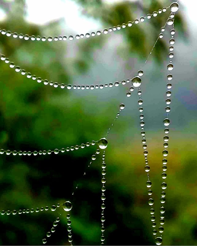 The Untanggling