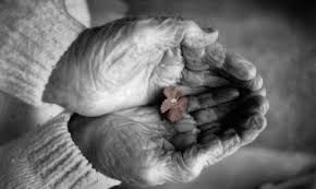 Grandma's Hands