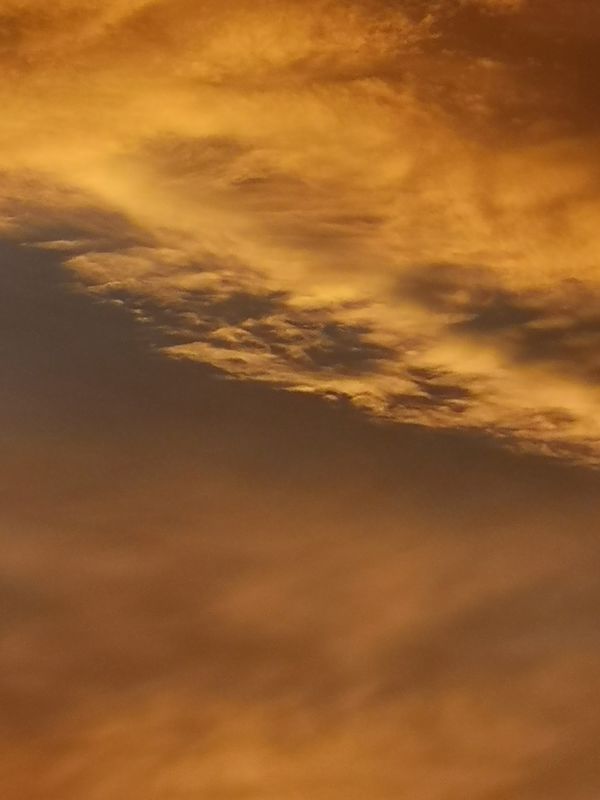 Beautiful Twilight 