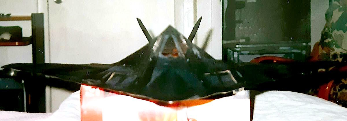 Lockheed F-117 Stealth Fighter pic.3