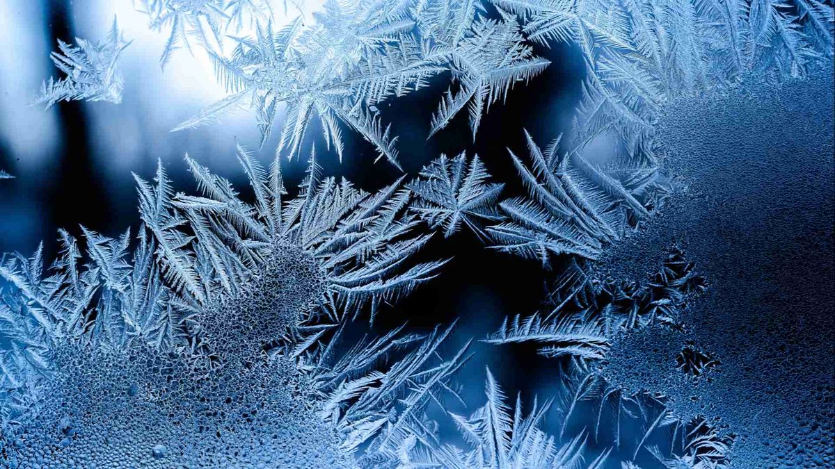 If Only I Could Freeze Time