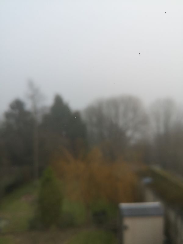 Mist 