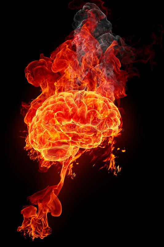 Brain on Fire!