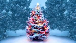 A Christmas Griever
