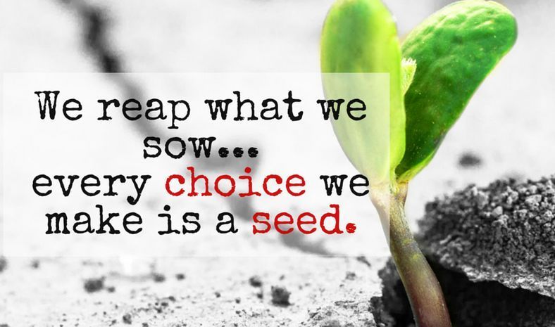 The seeds of life
