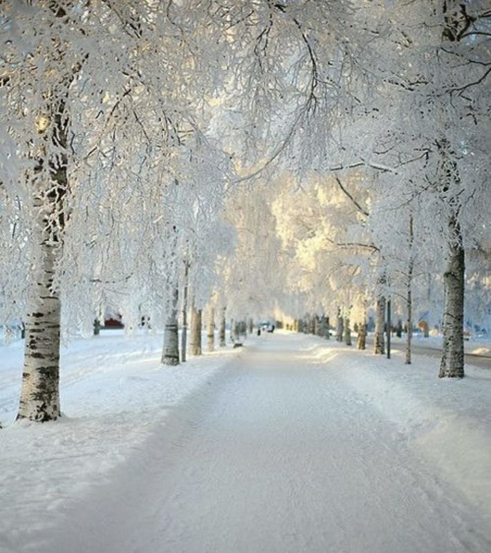 A Winter's Day