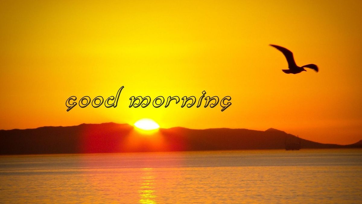 THE MORNING