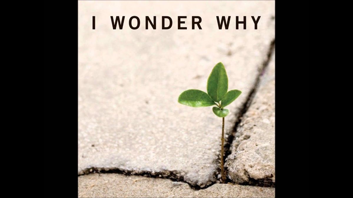 I wonder why ?