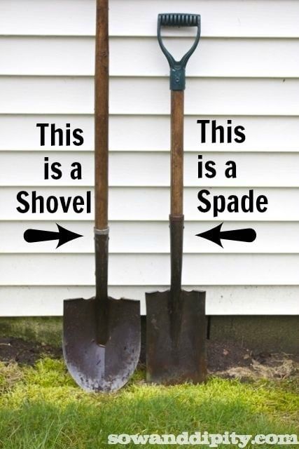 ‘A spade is a spade’🤣