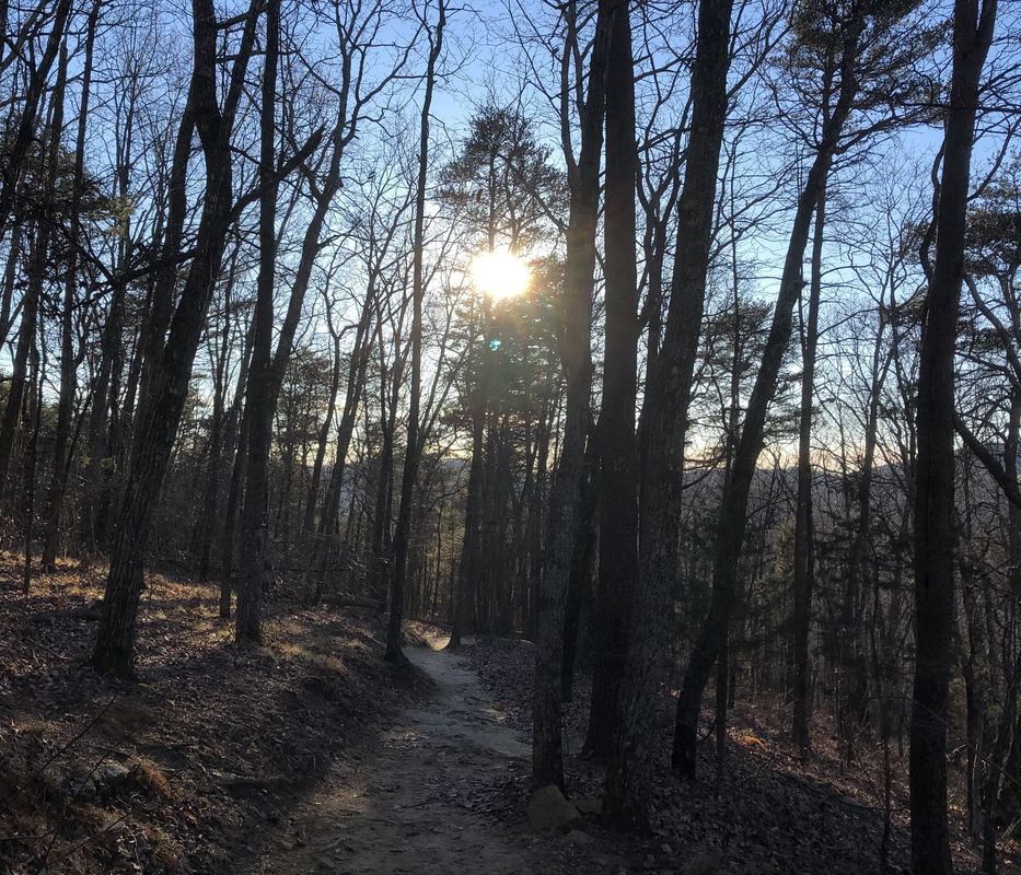 The Hike