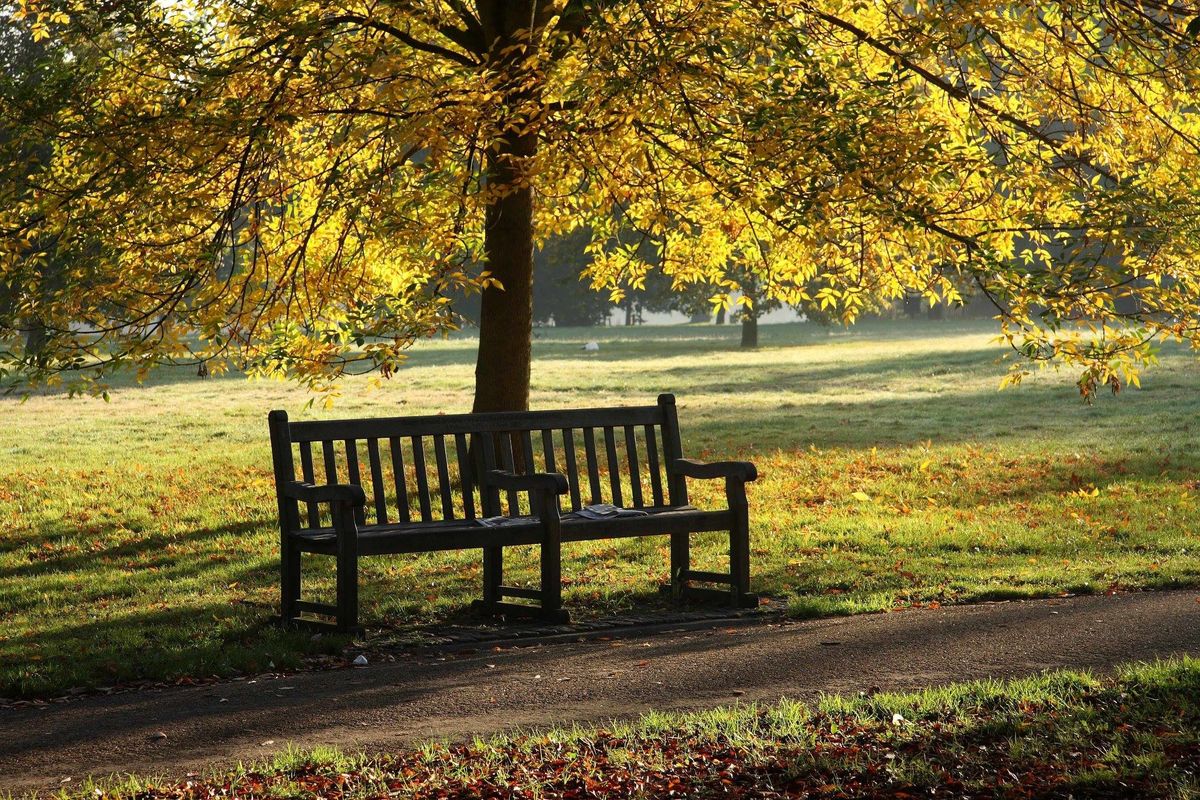 SITTING IN THE PARK