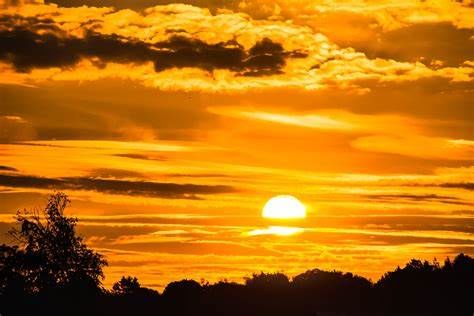 Good Morning Lord