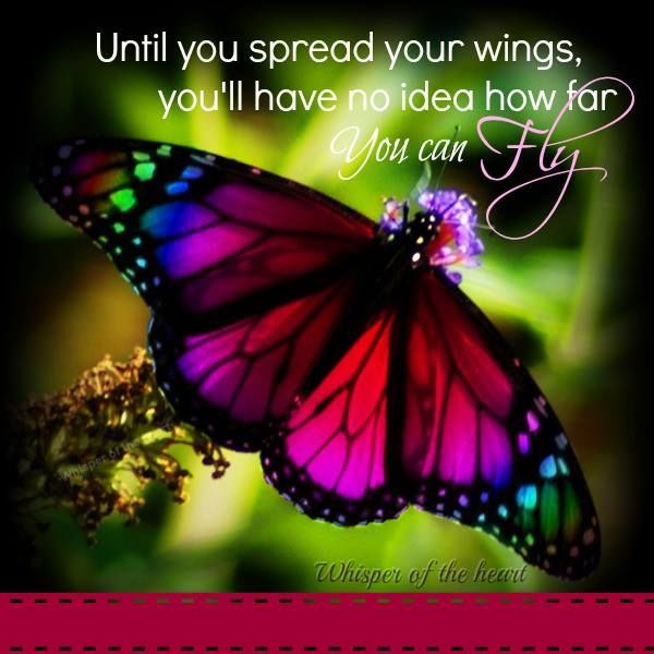 Spread those wonderful wings Cherie 🦋