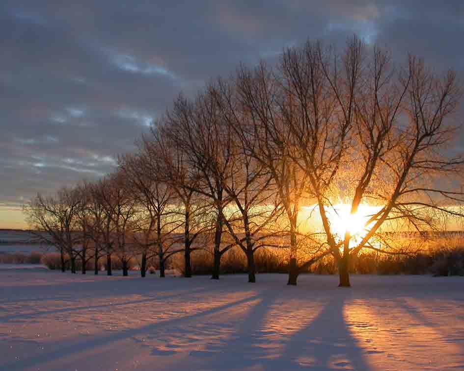MORNINGS ARRIVAL