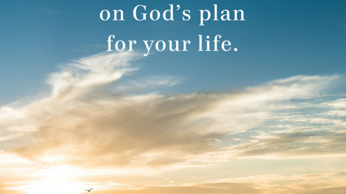 God’s plan 🙏