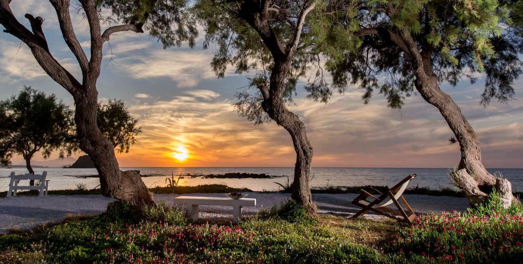 Sipping ouzo at sunset