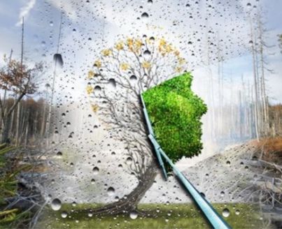 "Acid rain"