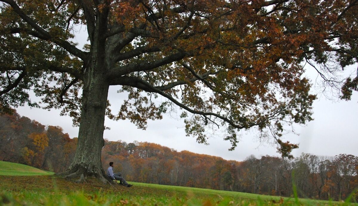 THE POET ON THE HILL