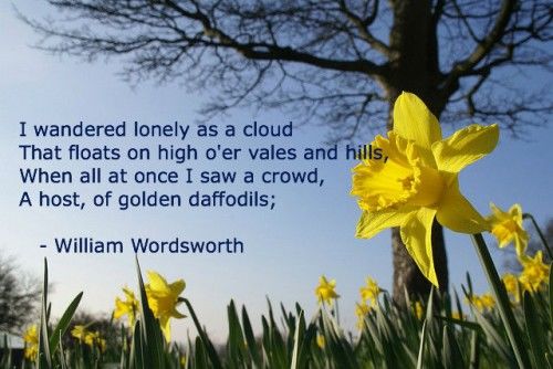 A worthy Wordsworth ?🤣