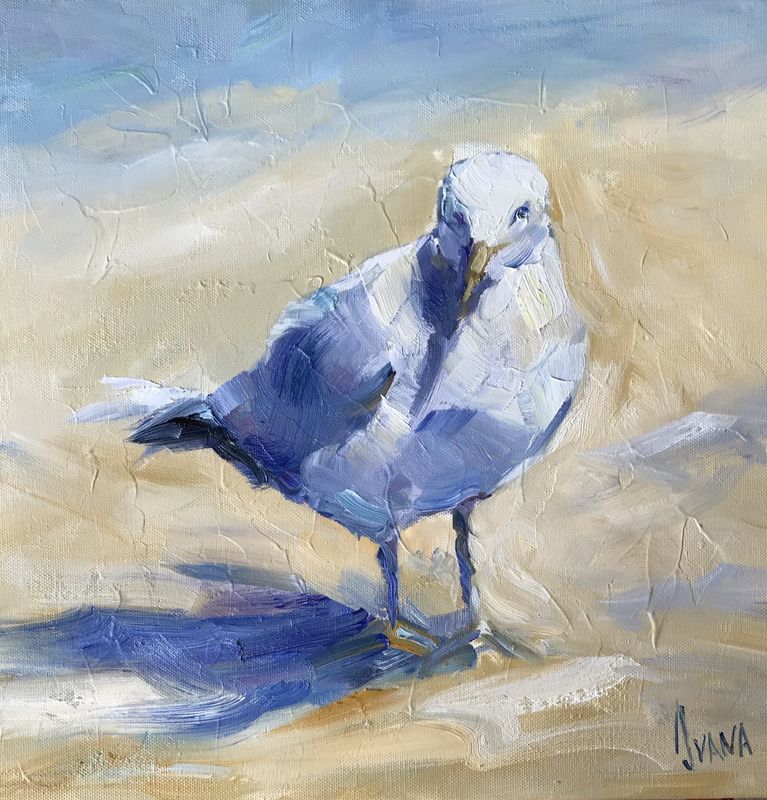 SEAGULL