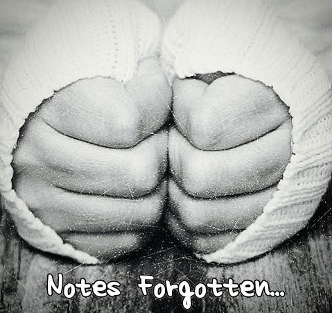 Notes Forgotten 