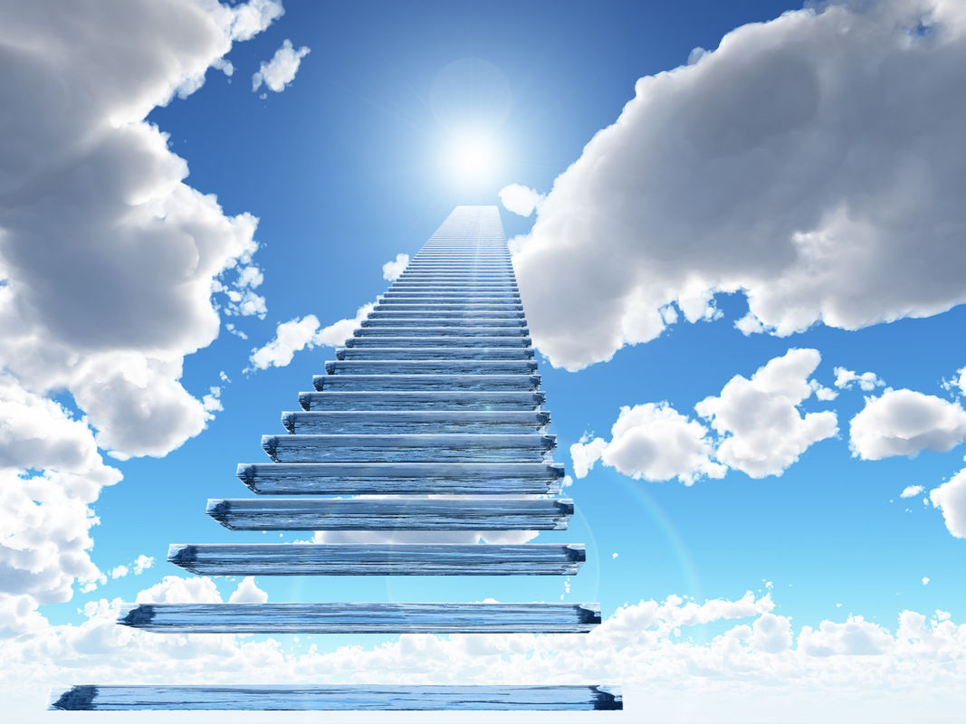 The ladder of life 🙏