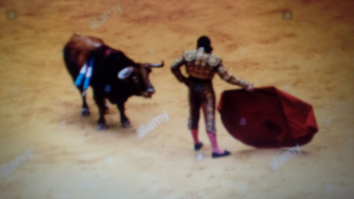 The Rain In Spain Falls Mainly On The Bullring