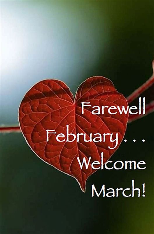 Farewell February 💙