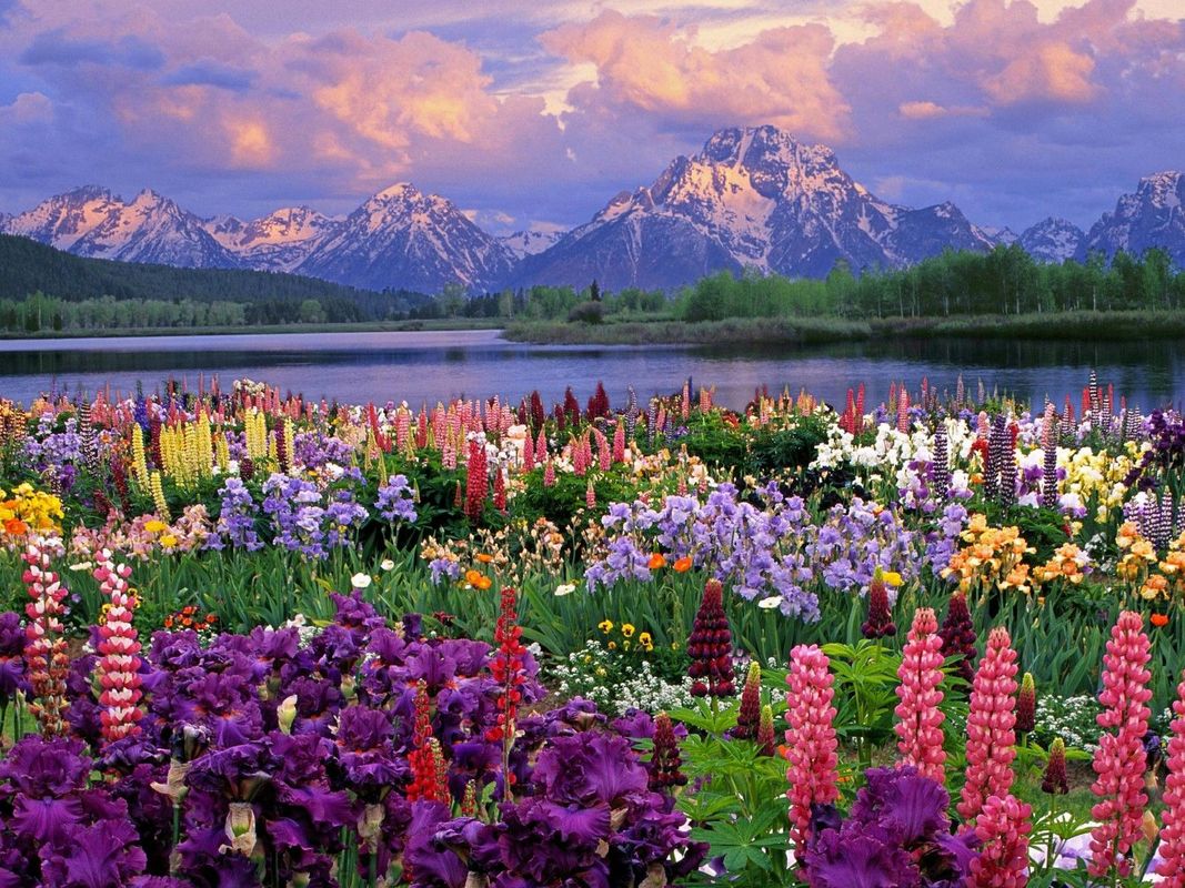 It Seems the Spring Appeared
