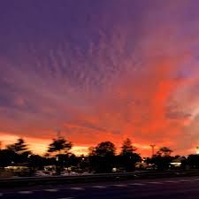 The Sweet Honey Evening