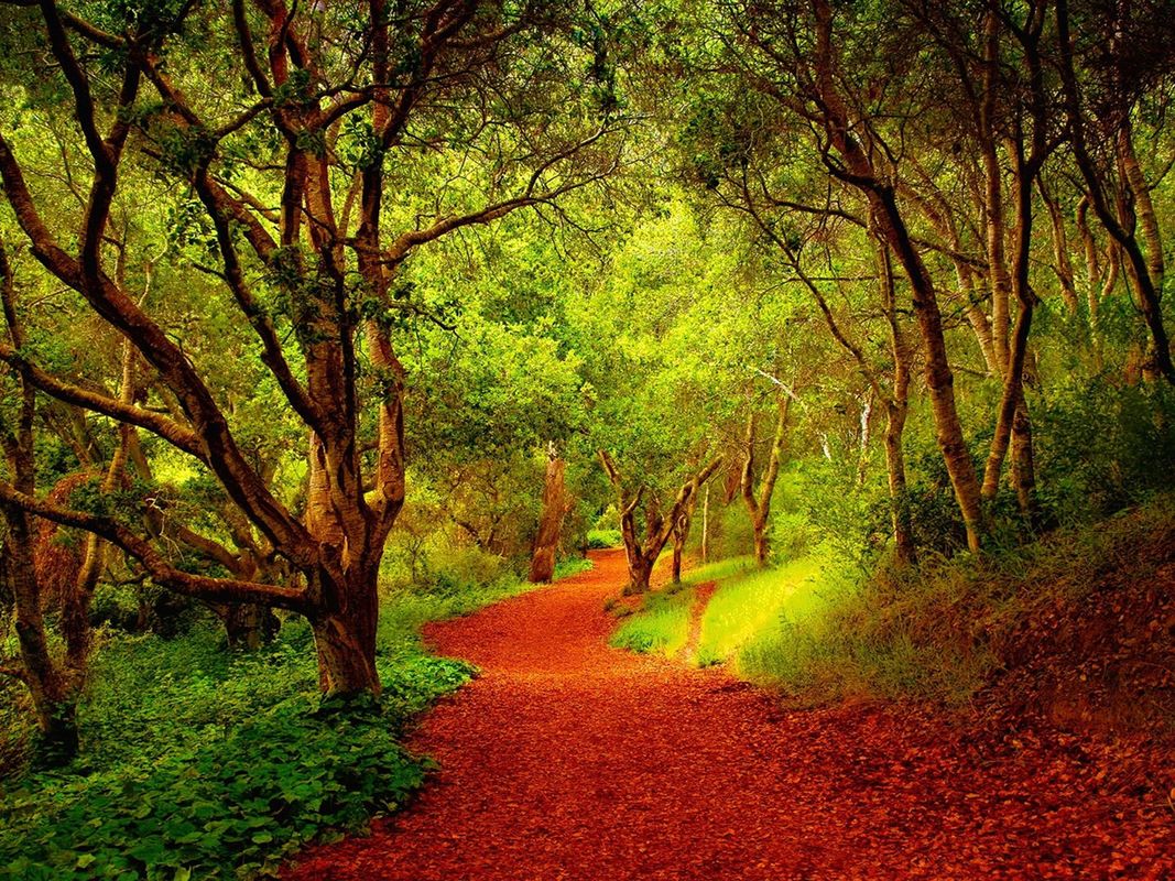 A PATHWAY TO LOVE