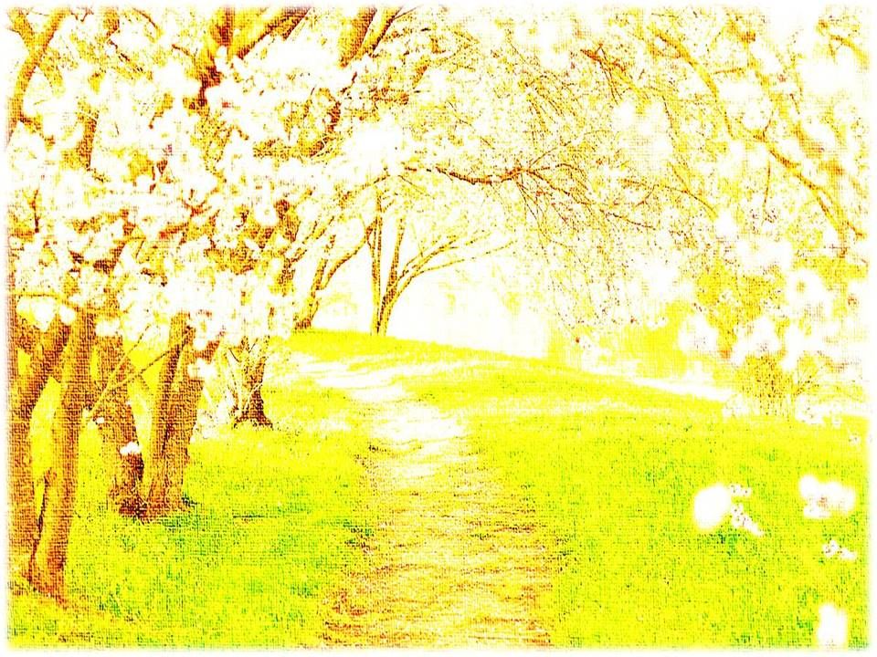 DIFFERENT SPRING