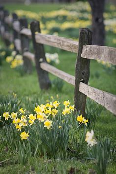 Spring has sprung 💕