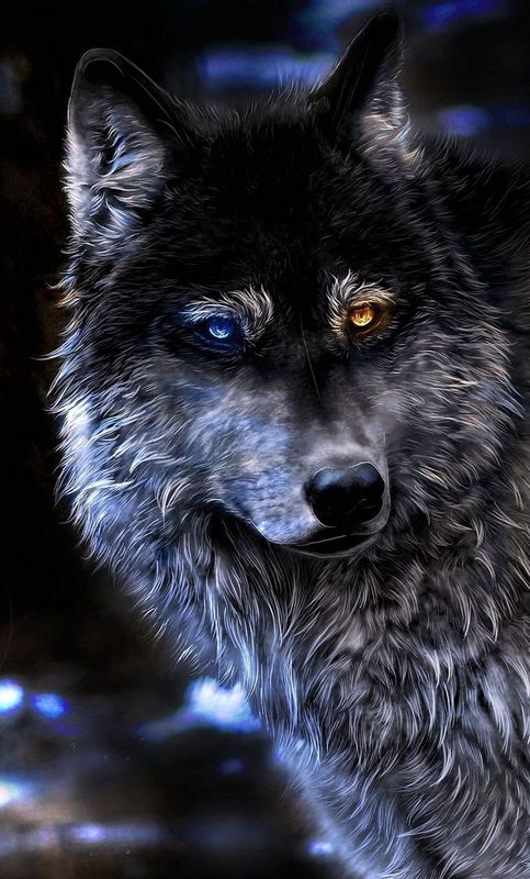 Eyes of the Wolf 