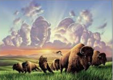 Buffalo Clouds