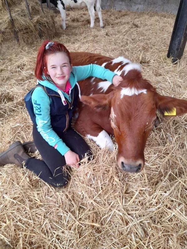 “How now brown Cow!!!”